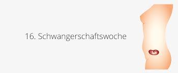 16 Ssw Schwangerschaftswoche Mutter Bauch Baby In 16 Ssw