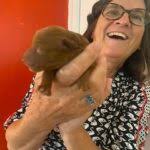 Peace Love and Puppies at the Creek