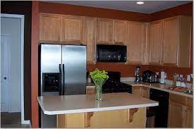 Orange Wall Paint Transitional