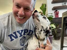 How to design and layout a woodworking shop for optimal workflow and  efficiency?