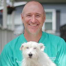 Animal care hospital of waterford. Veterinarians Animal Hospital Of Waterford
