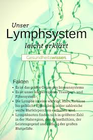 Diese Aufgaben Erfullt Das Lymphsystem Des Menschen