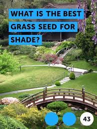 Learn What Is The Best Grass Seed For Shade How To Guides Tips And Tricks Grass Seed For Shade Seeding Lawn Best Grass Seed