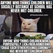 #persian cat #persian cat meme #confused cat meme #white cat #wtf #meme #memecat #artdoll #art doll #roomguardians #room guardians #room guardian #cat monkey #catmonkey #persian cat room guardian. White Cat Memes