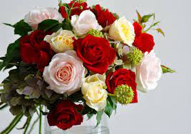 Online Flowers Delivery Jaipur 299 Midnight Flowers Delivery Jaipur Flower Delivery Flowers Online Flower Delivery