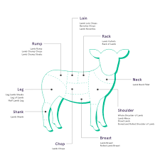 The Only Lamb Cuts Guide Youll Ever Need How To Choose And