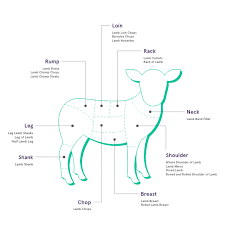 the only lamb cuts guide youll ever need how to choose and