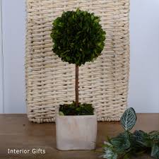 We did not find results for: Preserved Boxwood Topiary Tree In Stone Terracotta Pot Beautiful Real Boxwood From The Vintage Garden Room Lollipop Tree