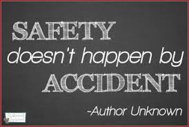 By the quotesmaster · february 9, 2019. Safety Quote Scattered Squirrel