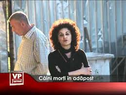 Urmareste aici toate noutatile sportive, evenimente, meciuri, rezultate si informatii despre sportivi! Curtea De Apel Craiova Si Curtea De Apel Federatia Pentru Protectia Animalelor Si Mediului Romania Facebook