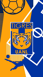 Suivez l'évolution de l'épidémie de coronavirus / covid19 dans le monde. Tigres Uanl Felinos Incomparables Libres Y Lokos Hd Mobile Wallpaper Peakpx