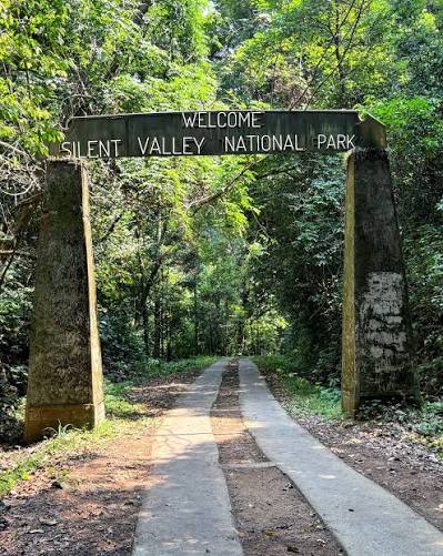 🔶Silent Valley National Park — a lush paradise that was saved from a dam project in the 1970s, now standing as a symbol of India's commitment to conservation.🔶 ▫️🟥▫️◻️🟥🔹◻️▫️🟥◽️◼️▫️🔷🟥 #silentvalleynationalpark #silentvalley ...