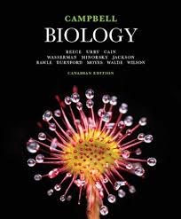 Biologi campbell, 9e download as docx, pdf, txt or read online from scribd. Campbell Biology Canadian Edition Reece Jane B Urry Lisa A Cain Michael L Wasserman Steven A Minorsky Peter V Jackson Robert B Rawle Fiona E Durnford Dion G Moyes Chris D Walde