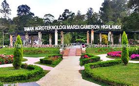 Cafe menjual pelbagai produk hasil strawberry, dan produk lain keluaran dari cameron highlands. Attractions Nearby Darulmakmur Chalet Darulmakmur Chalet