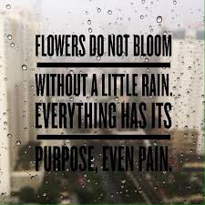 We did not find results for: 32 Strong Yellow Flower Quotes That Will Unlock Your True Potential