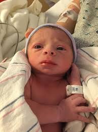 Hat Creek Farms Wine Shop