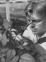 History of Soybeans and Soyfoods in Illinois (1851-1954)