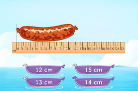 With the help of this ruler app it is very easy to measure the precise (accurate) length of objects with the help of your smartphone. Ruler Games For Kids Online Splashlearn