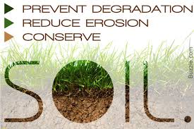 Soil Is One Of The Most Important Natural Resources We Need To Devise And Implement Ways Of Conserving Soil In 2020 Conservation Soil Conservation Nature Conservation