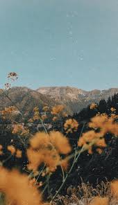 Aesthetic Lockscreen Tumblr Aesthetic Backgrounds Landscape Photography Nature Photography