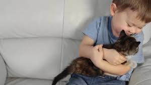 portrait little baby boy touching finger...