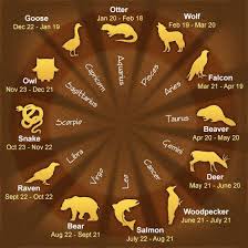 Pin On Amer Indian Spirit Animals