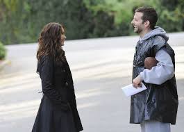 Silver Linings Playbook / www.sarasfavoritethings.wordpress.com