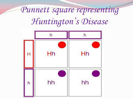 Ppt Huntingtons Disease Powerpoint Presentation Free
