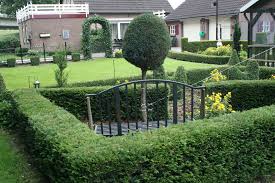 Formschnitt Eibe Koniferen Efeubogen Gartenreise Holland Gartengestaltung Garten Koniferen