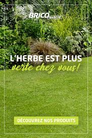 Entretenir Mon Gazon En 2020 Engrais Gazon Idees De Jardin Fleur Petits Jardins De Potagers