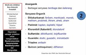 Ünlü ve amatör yazarlardan en güzel apa arti dari over protektif kitapları incelemek ve satın almak için tıklayın. Petani Rasional Ø¹Ù„Ù‰ ØªÙˆÙŠØªØ± Fungisida Kontak Non Sistemik Protektif Dengan Istilah Non Sistemik Artinya Fungisida Tersebut Hanya Menempel Di Permukaan Daun Tanaman Tidak Diserap Oleh Daun Tanaman Akibatnya Fungisida Mudah Hilang Dari Permukaan Tanaman