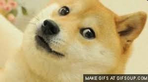 Playing on a laptop feels like. Doge Gif By Pie