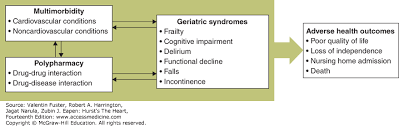 Cardiovascular Disease In The Elderly Pathophysiology And