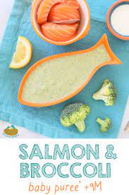 Salmon Broccoli Lemon Baby Puree 9m Buona Pappa