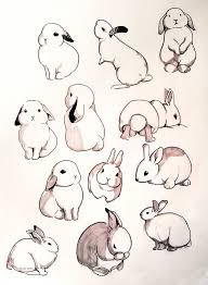 Boys Flowers Photo Boys Flowers Photo Animal Drawings Animal Art Nature Sketch