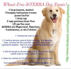 Start with a small amount of a diffused or diluted essential oil and observe your pet's. Dog Treats With Essential Oils Essential Oils Dogs Oils For Dogs Oils