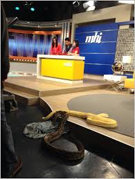 Berjayakah aina abdul mengenalpasti siapakah. Playing With Snakes On The Set Of Mhi Tv3 Home Is Where My Heart Is