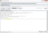 What is Burp Suite Professional