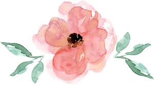 Download Watercolor Floral Svg Free Transparent Cartoon Jing Fm