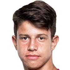 Tiempo de juego, goles, tarjetas, faltas. Adam Hlozek Fm 2020 Profile Reviews
