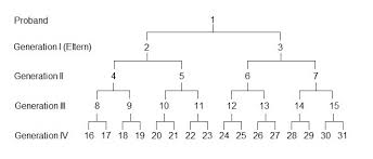 Erstellen sie noch heute ihren kostenlosen stammbaum mit ancestry. Stammbaum Formular Vorlagen Gratis