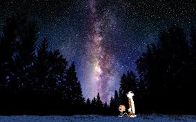 Scottish naturalist john muir once said the power of imagination makes us infinite and to me nothing embodies that feeling more perfectly then calvin and hobbes. Calvin And Hobbes Backgrounds Pixelstalk Net