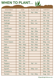 Some vegetables in the garden will need more water during certain times in which they are developing. Sunlight Requirements Vegetables Require Infographic The Whoot