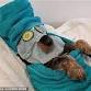 Poochy Pamper and Kitty Care event image