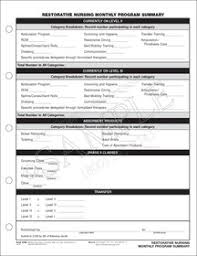 restorative nursing monthly program summary