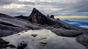 Tidak.di desa dairy farm, kundasang sabah. Bersama Anak Mendaki Gunung Kinabalu 2 Warta Kota