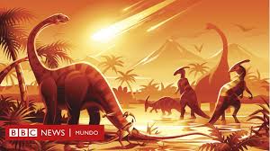 Cuál será la especie dominante si los humanos nos extinguimos? - BBC News  Mundo