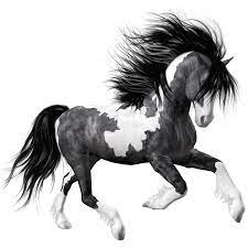 White Black Horse Png Clipart Picture Horses Black Horse Animals