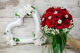 Temperature and vegetation of australia & new zealand 1896. Cvece Za Zimsko Vencanje Izaberite Najbolje Cvecara Jelena