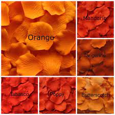 Check spelling or type a new query. 31 Macam Macam Warna Orange Yang Wajib Kamu Tahu